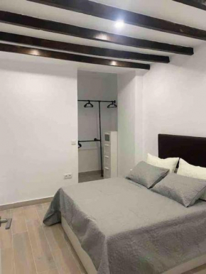 Planta baja moderna y nueva a estrenar en el centro ciudad 2 habitaciones y 2 baños